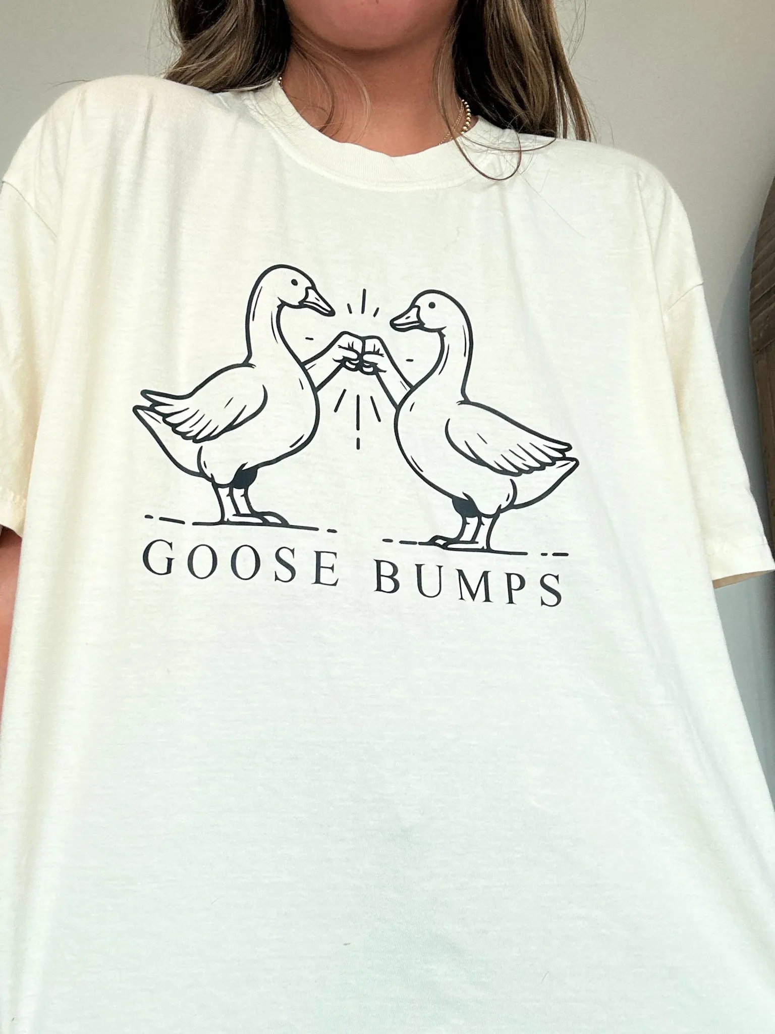 Goose Bumps Comfort Colors Tee