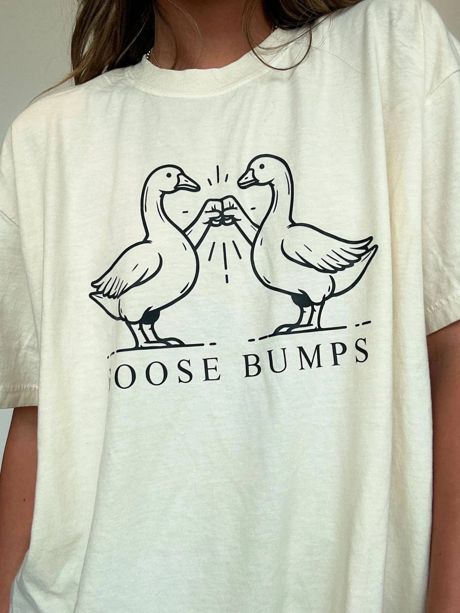 Goose Bumps Comfort Colors Tee